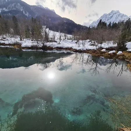 شقة New Teravila *