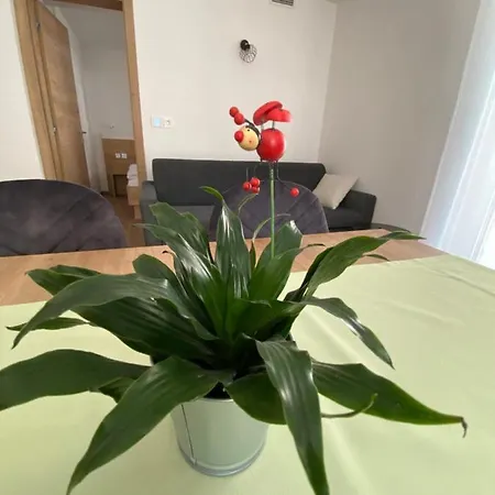Appartement New Teravila Rateče