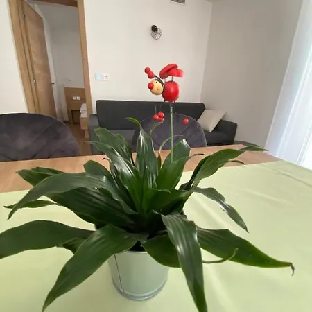 Appartamento New Teravila Rateče