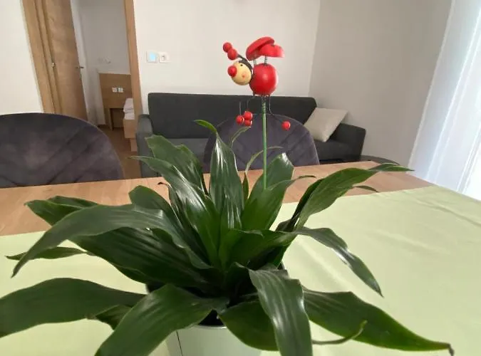 Daire New Teravila Rateče